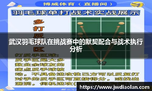 武汉羽毛球队在挑战赛中的默契配合与战术执行分析