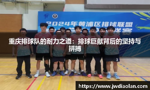 重庆排球队的耐力之道：排球巨献背后的坚持与拼搏
