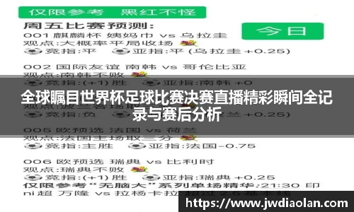 全球瞩目世界杯足球比赛决赛直播精彩瞬间全记录与赛后分析