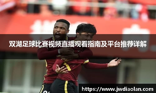 双湖足球比赛视频直播观看指南及平台推荐详解